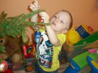 Akcja choinka :)_6
