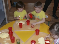 Elementy sensoplastyki_3