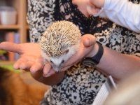Jeż w przedszkolu_14