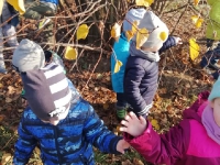 Jesienne harce w parku_2