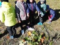 Otwieramy sezon na kalosze_2