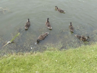 Wakacyjne zajęcia_5