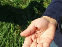 Zajęcia w terenie_22