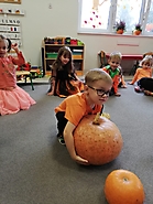 Dyniowy tydzień 2022_11