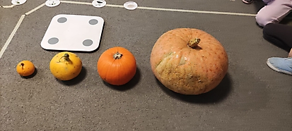 Dyniowy tydzień 2022_25