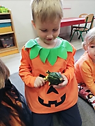 Dyniowy tydzień 2022_7