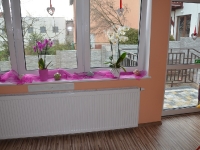 Dzień Babci i Dziadka_2