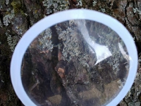 Grupa Króla Maciusia 1 - obserwacje_6