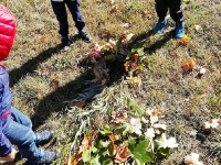 Korzystamy z cudownej pogody - grupa Felki_4