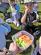 Słoneczne chwile 2021_2