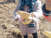 Szukanie Zajączka :)_1