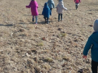 Szukanie Zajączka :)_5