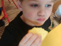 Szukanie Zajączka :)_6