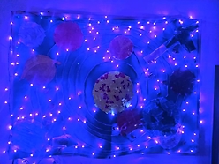 Układ słoneczny 2020_5